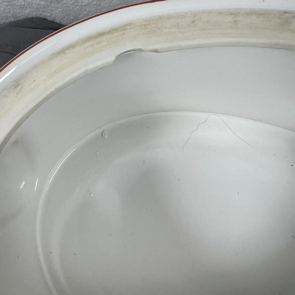 Mikasa Ultra Ceram Bake & Serve Strawberries UP012‎ Oval Casserole Dish with Lid